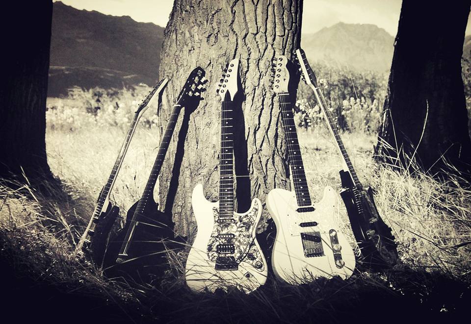 Guitars @ rest