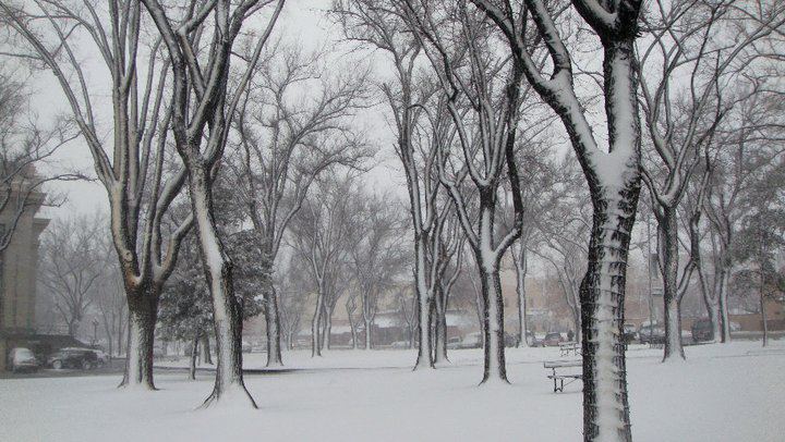 Winter awakes